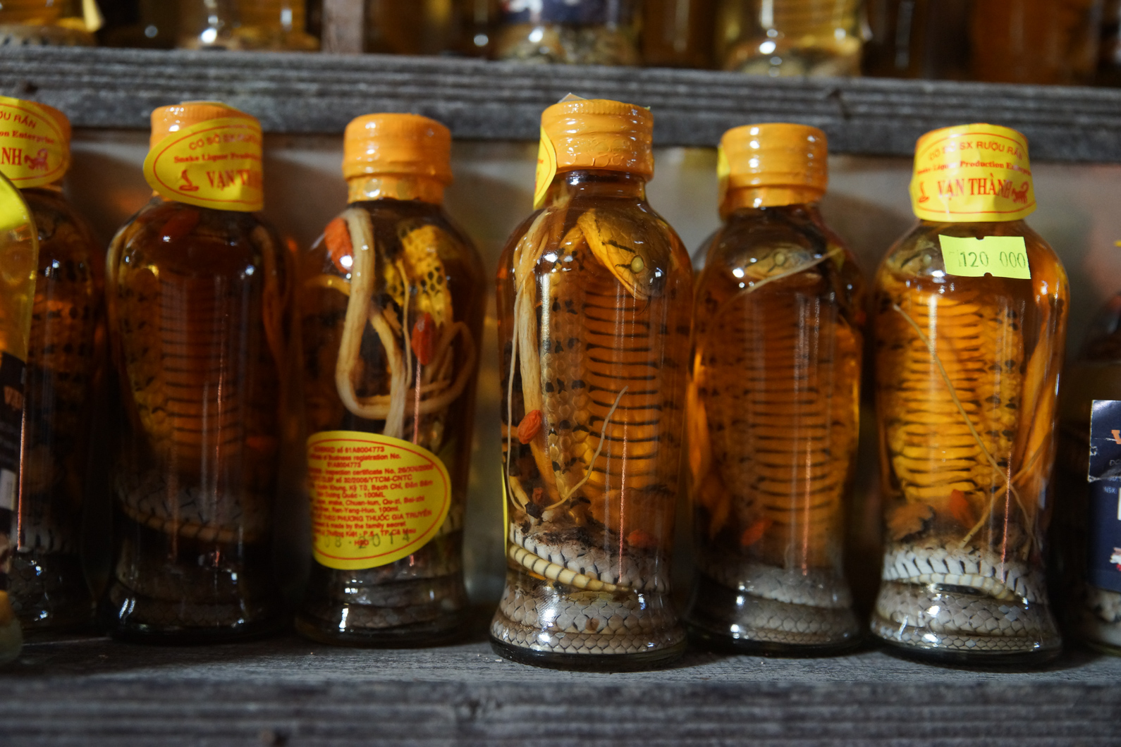 20141120 091455 Weg von can Tho nach Cai Be